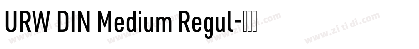 URW DIN Medium Regul字体转换